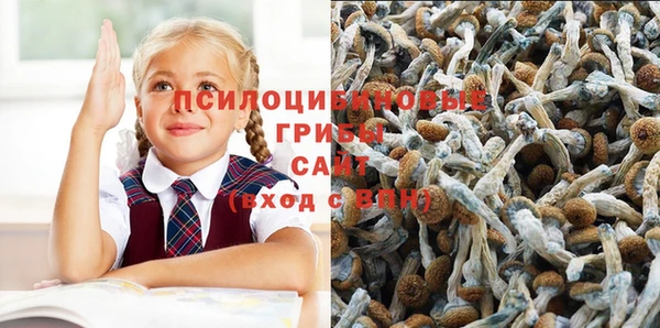 гашиш Богданович