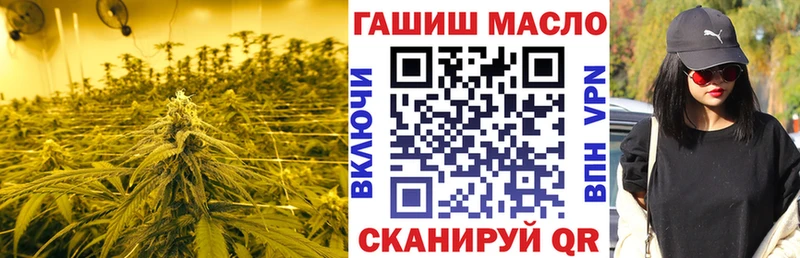 ТГК Wax  Тольятти 